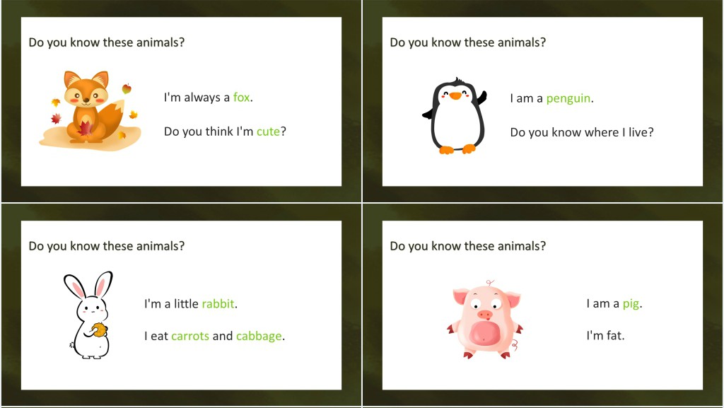 We love animals教案PPT课件