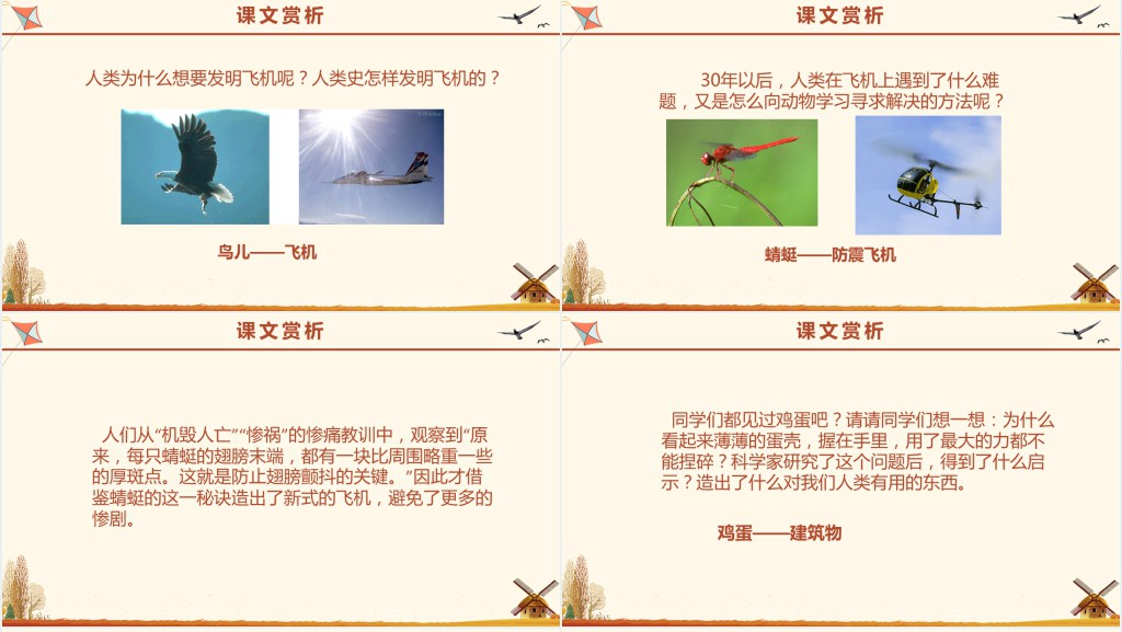 小学人类的老师教学PPT课件 小学人类的老师教学PPT课件