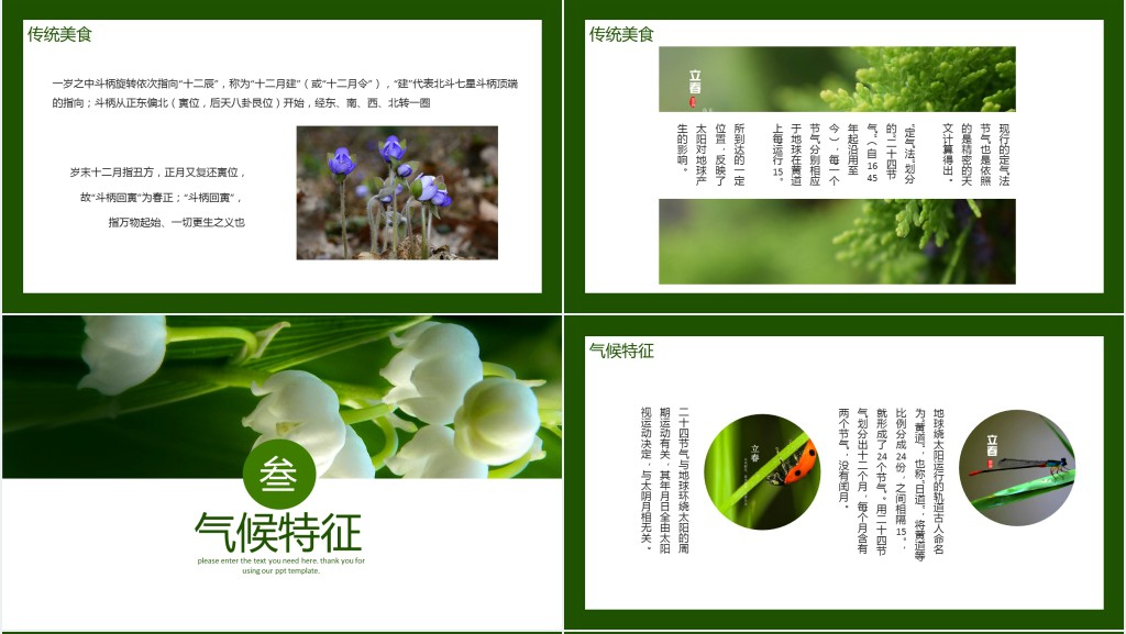 旅绿色小清新二十四节气立春节气介绍PPT模板 旅绿色小清新二十四节气立春节气介绍PPT模板