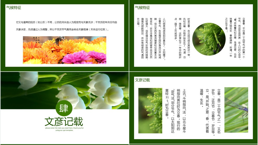 旅绿色小清新二十四节气立春节气介绍PPT模板 旅绿色小清新二十四节气立春节气介绍PPT模板