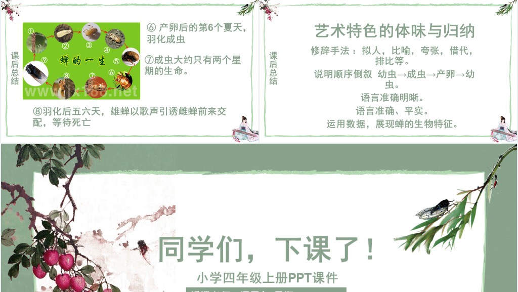 小学四年级语文 蝉PPT课件 小学四年级语文 蝉PPT课件