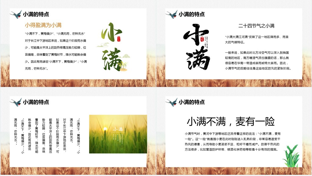 小满节气的民俗文化PPT模板 小满节气的民俗文化PPT模板