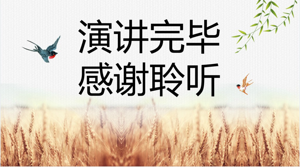 小满节气的民俗文化PPT模板 小满节气的民俗文化PPT模板