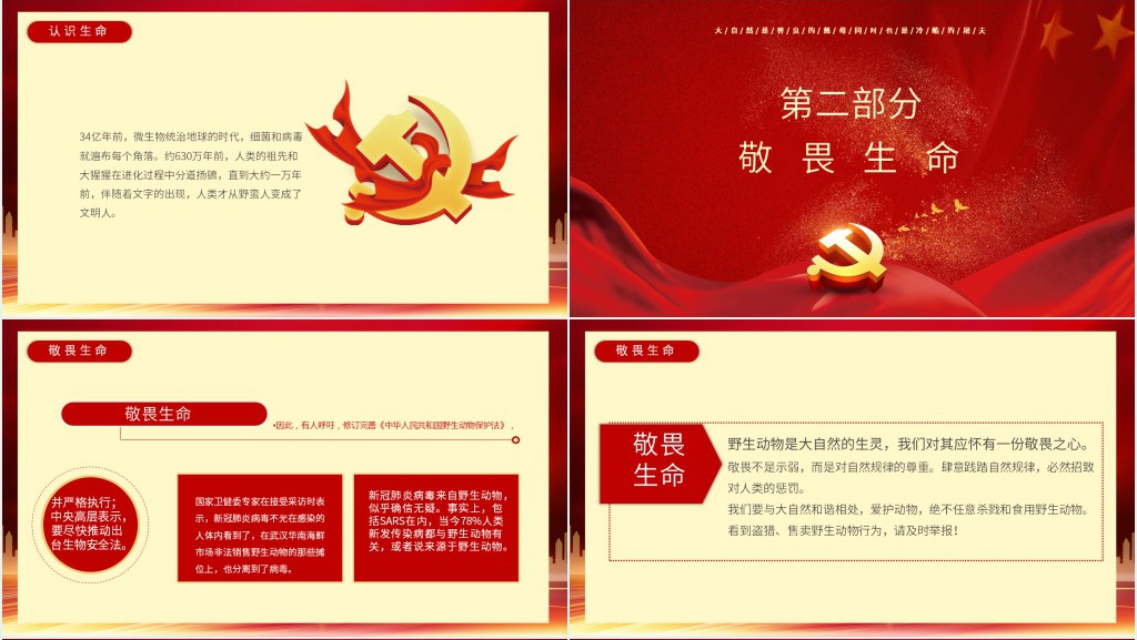 疫情之下生命教育PPT 疫情之下生命教育PPT