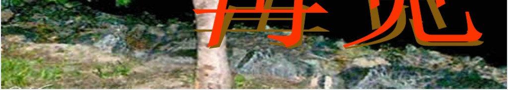 正比例函数教案PPT课件 正比例函数教案PPT课件