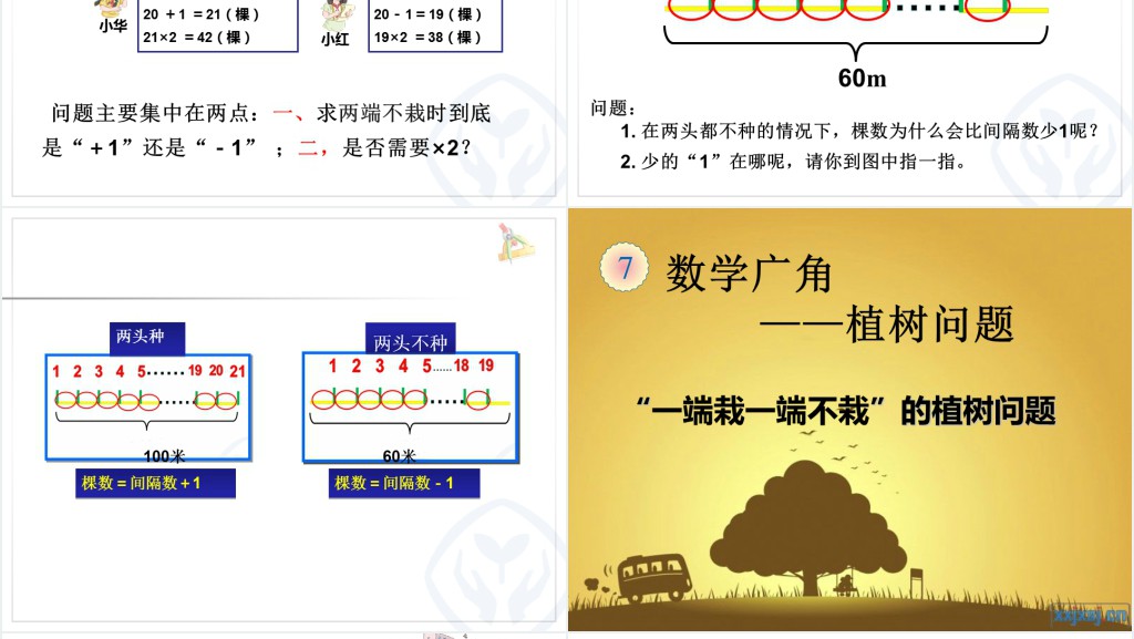 两端栽、两头不栽、一端栽一端不栽PPT课件 两端栽、两头不栽、一端栽一端不栽PPT课件