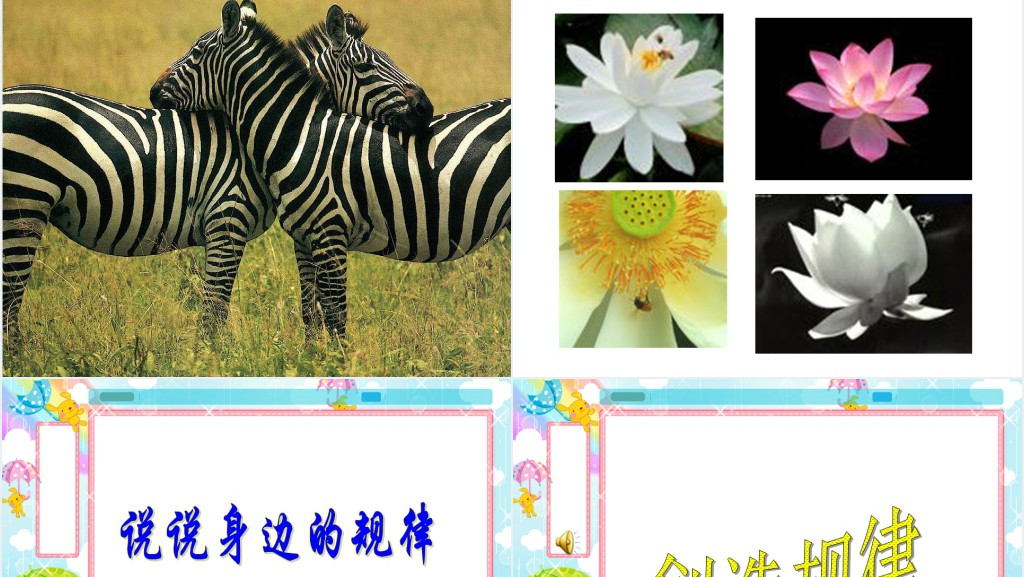 数学找规律PPT课件 数学找规律PPT课件