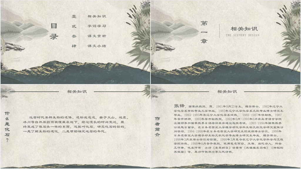 化石吟课文教案PPT课件 化石吟课文教案PPT课件