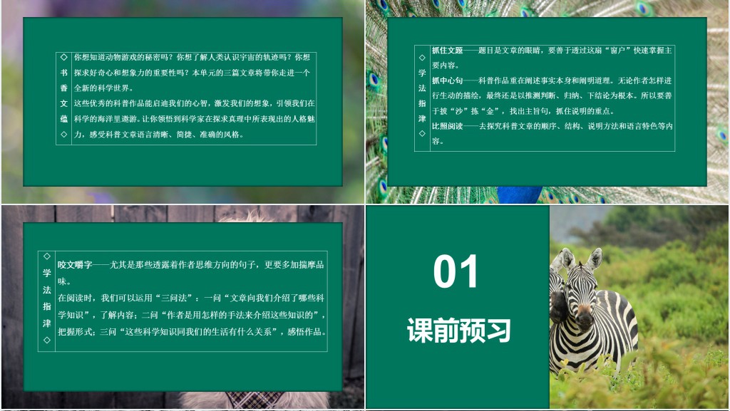 动物游戏之谜教学教案PPT课件 动物游戏之谜教学教案PPT课件