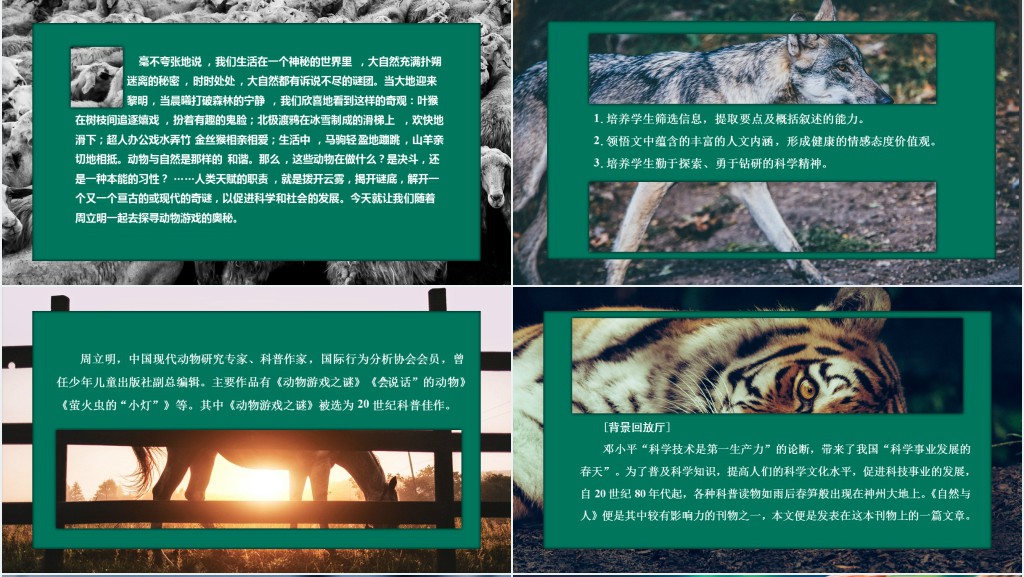 动物游戏之谜教学教案PPT课件 动物游戏之谜教学教案PPT课件