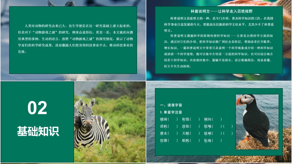 动物游戏之谜教学教案PPT课件 动物游戏之谜教学教案PPT课件