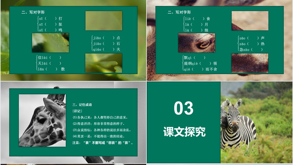 动物游戏之谜教学教案PPT课件 动物游戏之谜教学教案PPT课件