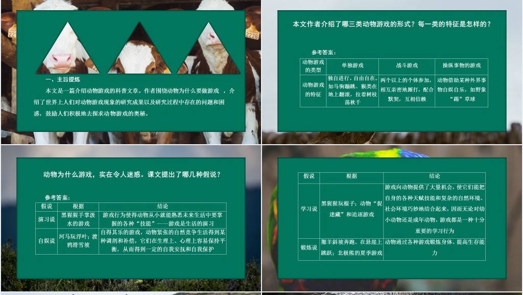 动物游戏之谜教学教案PPT课件 动物游戏之谜教学教案PPT课件