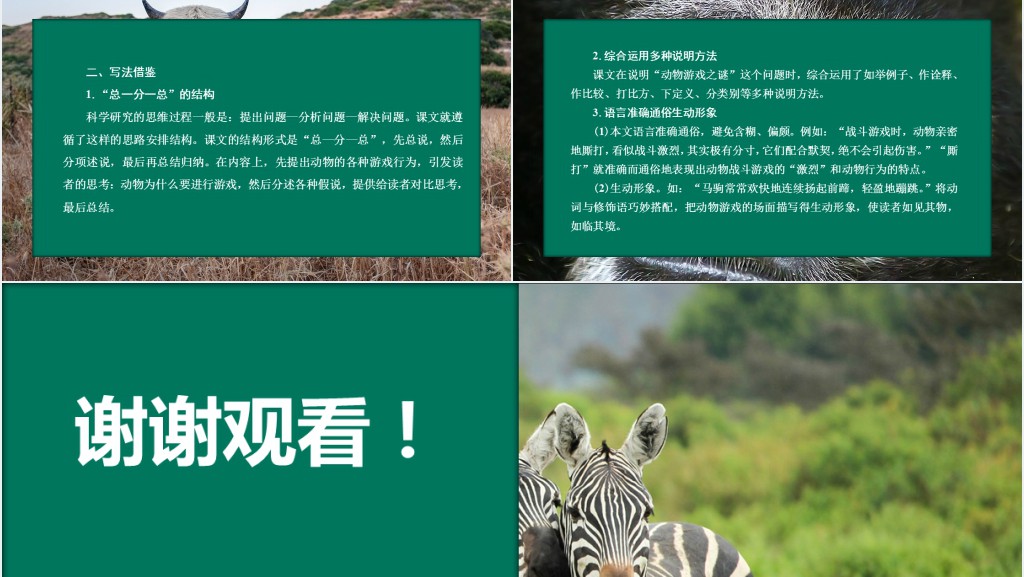 动物游戏之谜教学教案PPT课件 动物游戏之谜教学教案PPT课件