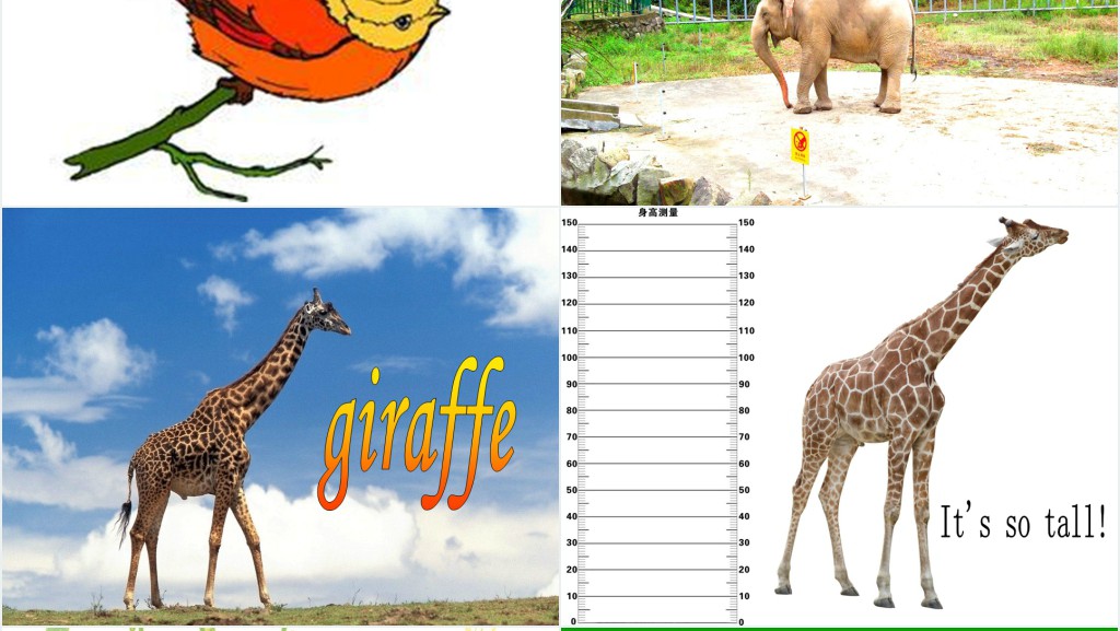 Unit 3 At the zoo第一课时英语PPT课件 Unit 3 At the zoo第一课时英语PPT课件