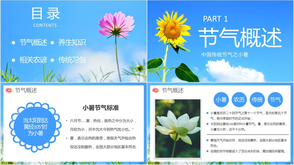 二十四节气养生之小暑养生PPT模板 二十四节气养生之小暑养生PPT模板
