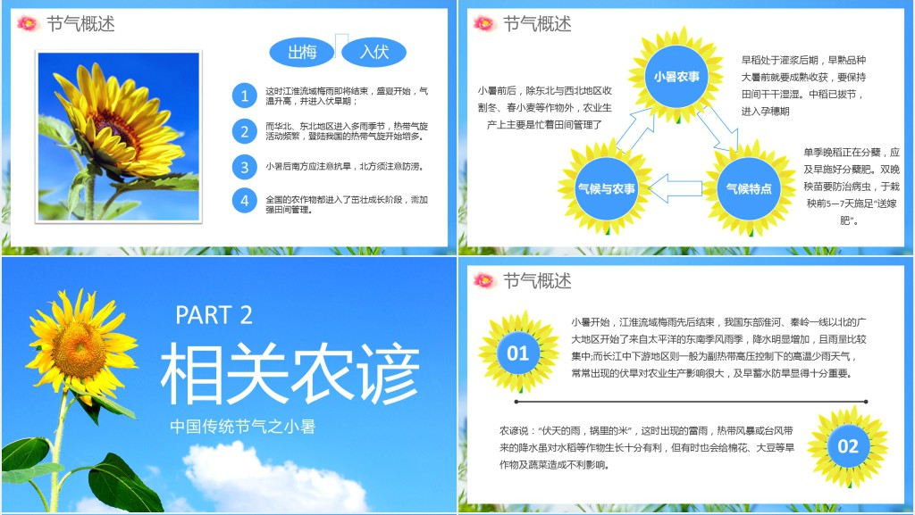 二十四节气养生之小暑养生PPT模板 二十四节气养生之小暑养生PPT模板
