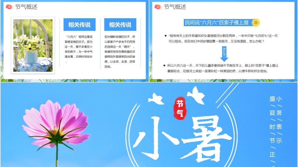 二十四节气养生之小暑养生PPT模板 二十四节气养生之小暑养生PPT模板