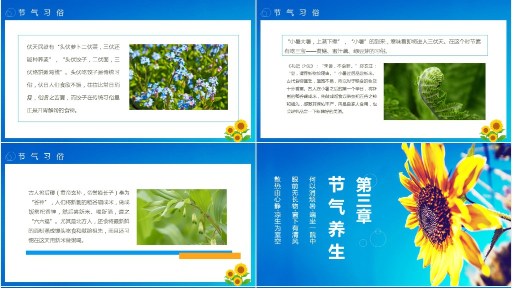 小暑节气的特点和风俗PPT模板 小暑节气的特点和风俗PPT模板