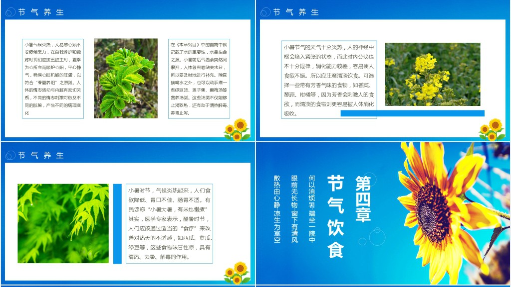 小暑节气的特点和风俗PPT模板 小暑节气的特点和风俗PPT模板