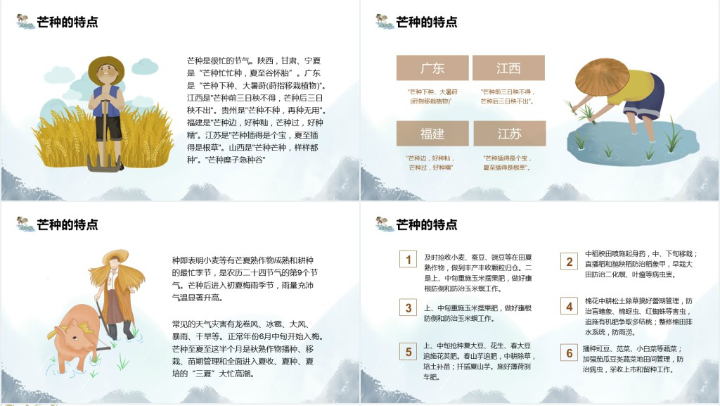 芒种节气历史由来PPT模板 芒种节气历史由来PPT模板