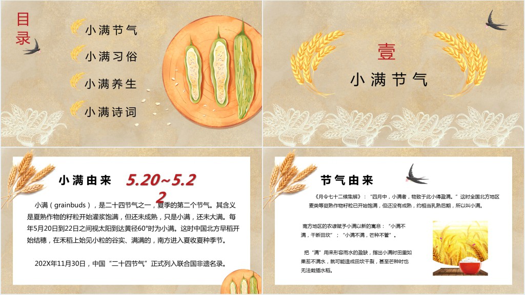 中华传统文化24节气小满PPT模板 中华传统文化24节气小满PPT模板