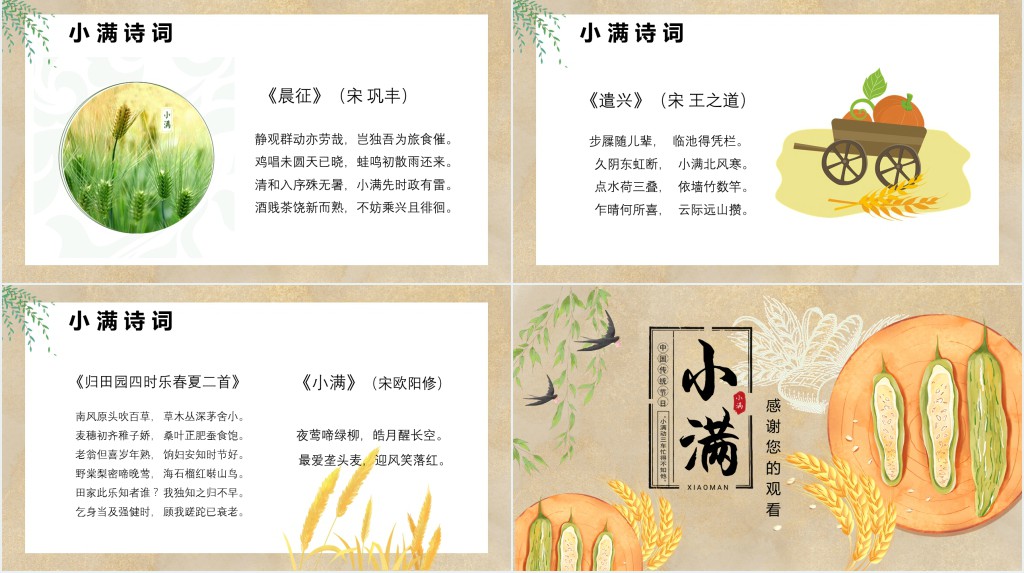 中华传统文化24节气小满PPT模板 中华传统文化24节气小满PPT模板